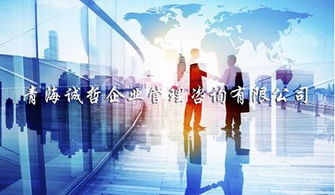 玉樹正規企業管理咨詢服務新報價 誠哲供應專業推薦